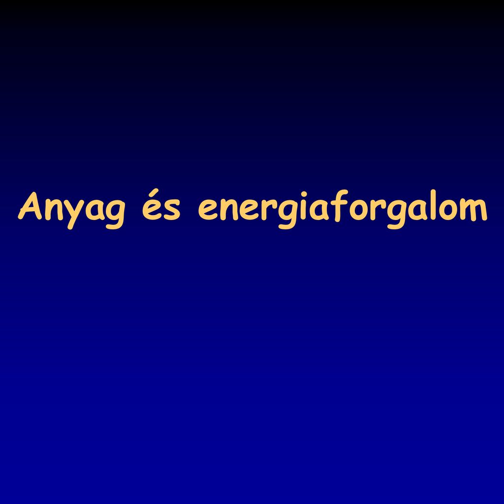 Anyag S Energiaforgalom Ppt Let Lteni